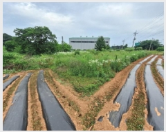  2025Ÿ��680  ����