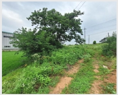  2025Ÿ��680  ����