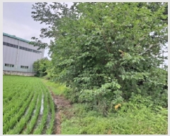  2025Ÿ��680  ����