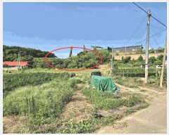  2025Ÿ��711  �����