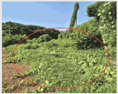  2025Ÿ��711  �����