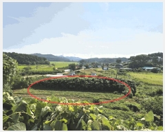  2025Ÿ��711  �����