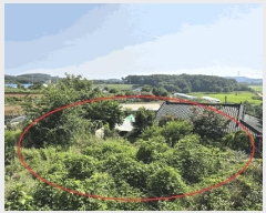  2025Ÿ��711  �����