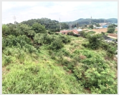  2025Ÿ��711  �����