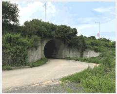  2025Ÿ��731 �泲 ������ �۾��� ���и� 538      ����(��1)���