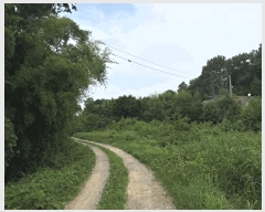  2025Ÿ��731 �泲 ������ �۾��� ���и� 538      ����(��1)���