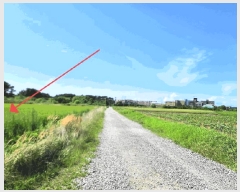  2025Ÿ��738 �泲 �¾ȱ� �ȸ��� â�⸮ 1262-170      ����(��)���