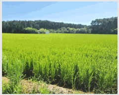  2025Ÿ��738 �泲 �¾ȱ� �ȸ��� â�⸮ 1262-170      ����(��)���