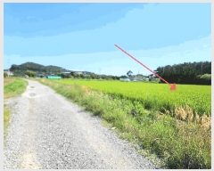  2025Ÿ��738 �泲 �¾ȱ� �ȸ��� â�⸮ 1262-170      ����(��)���