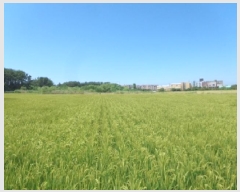  2025Ÿ��738 �泲 �¾ȱ� �ȸ��� â�⸮ 1262-170      ����(��)���