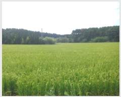  2025Ÿ��738 �泲 �¾ȱ� �ȸ��� â�⸮ 1262-170      ����(��)���