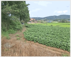  2025Ÿ��748 �泲 ����� ���ϸ� ž� 202-2      ����(��1)���