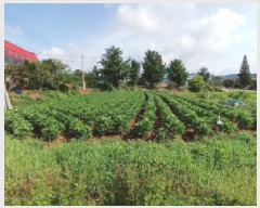  2025Ÿ��748 �泲 ����� ���ϸ� ž� 202-2      ����(��1)���