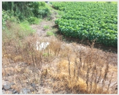  2025Ÿ��748 �泲 ����� ���ϸ� ž� 202-2      ����(��1)���