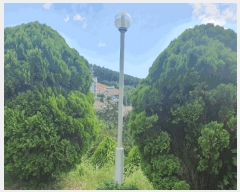  2025Ÿ��774 �泲 �¾ȱ� �¾��� ��긮 293-7      ����(�Ӿ�)���