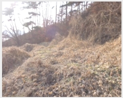  2025Ÿ50266 泲 ¾ȱ ҿ ұٸ 156-10      (Ӿ)