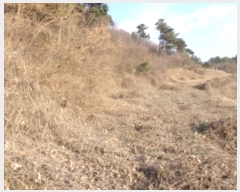  2025Ÿ50266 泲 ¾ȱ ҿ ұٸ 156-10      (Ӿ)