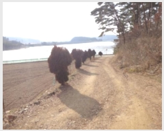  2025Ÿ50266 泲 ¾ȱ ҿ ұٸ 156-10      (Ӿ)