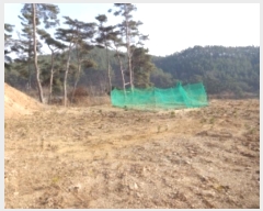  2025Ÿ50266 泲 ¾ȱ ҿ ұٸ 156-10      (Ӿ)