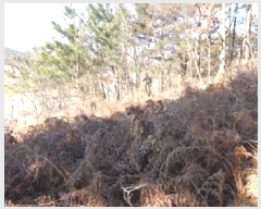  2025Ÿ��50495 �泲 �¾ȱ� ���ϸ� �̰�1�� 7      ���ð��