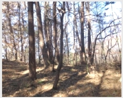  2025Ÿ��50495 �泲 �¾ȱ� ���ϸ� �̰�1�� 7      ���ð��