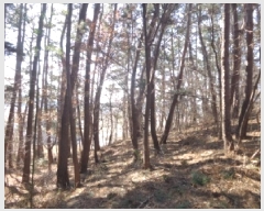  2025Ÿ��50495 �泲 �¾ȱ� ���ϸ� �̰�1�� 7      ���ð��