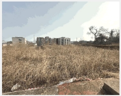  2025Ÿ50808 泲  ۾ 븮 147-71      â