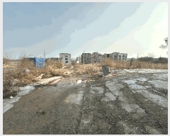  2025Ÿ50808 泲  ۾ 븮 147-71      â