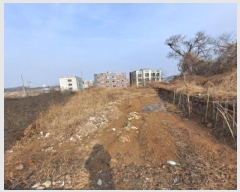  2025Ÿ50808 泲  ۾ 븮 147-71      â