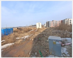  2025Ÿ50808 泲  ۾ 븮 147-71      â