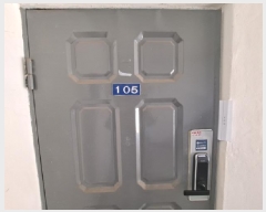  2025Ÿ50955 泲  ä 237-3  1105ȣ     ټ,