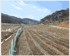  2025Ÿ��50957  �����