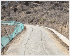  2025Ÿ��50957  �����