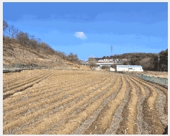  2025Ÿ��50957  �����