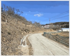  2025Ÿ��50957  �����