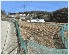  2025Ÿ��50957  �����