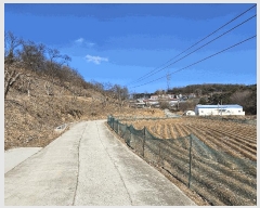  2025Ÿ��50957  �����