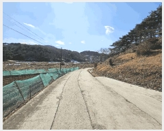  2025Ÿ��50957  �����