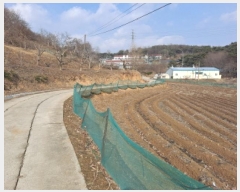  2025Ÿ��50957  �����