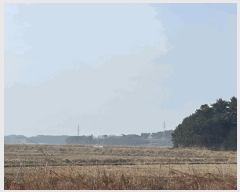  2025Ÿ��50975 �泲 �¾ȱ� ���� ���Ḯ 434-14      ����(�Ӿ�)���