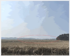  2025Ÿ��50975 �泲 �¾ȱ� ���� ���Ḯ 434-14      ����(�Ӿ�)���