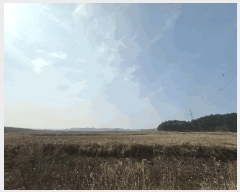  2025Ÿ��50975 �泲 �¾ȱ� ���� ���Ḯ 434-14      ����(�Ӿ�)���