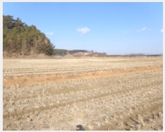  2025Ÿ��50975 �泲 �¾ȱ� ���� ���Ḯ 434-14      ����(�Ӿ�)���