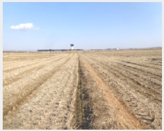  2025Ÿ��50975 �泲 �¾ȱ� ���� ���Ḯ 434-14      ����(�Ӿ�)���