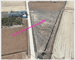  2025Ÿ50986 泲  ϸ Ż 1041      ()