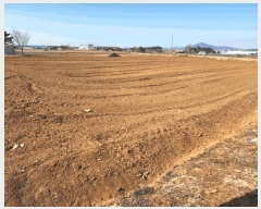  2025Ÿ50986 泲  ϸ Ż 1041      ()