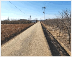  2025Ÿ50986 泲  ϸ Ż 1041      ()