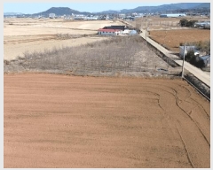  2025Ÿ50986 泲  ϸ Ż 1041      ()