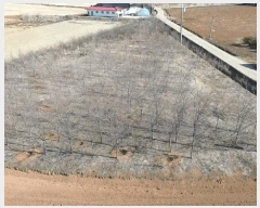  2025Ÿ50986 泲  ϸ Ż 1041      ()