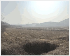  2025Ÿ��51044  �Ӿ߰��